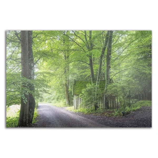 24x22 x 36x22 Frenzy Green by Anne Schneidersmann Print on Canvas