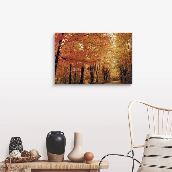 Footpath Through Autumn Forest - Large Solid-Faced Canvas Wall Art Print, Great Big Canvas