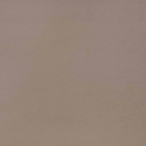 Sunbrella Capriccio Taupe 10200-0010 Horizon Marine Upholstery Fabric