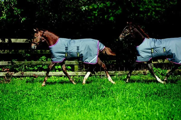 Amigo Foal Turnout Blanket