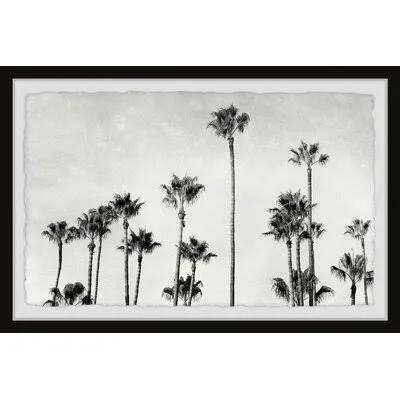 Wrought Studio 'Palm Trees'' Framed Photographic Print, Size: 8 inch H x 12 inch W x 1.5 inch D, Gray
