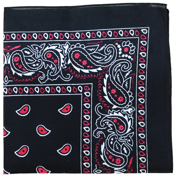 Qraftsy Paisley 100% Cotton Non Fading Print Double Sided Bandanas - Bulk Lot - 35 Pack - Size: One size, Black