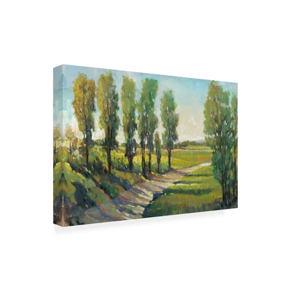 Trademark Fine Art 'Lush Landscape I' Canvas Art by Tim OToole, Size: 30 x 47