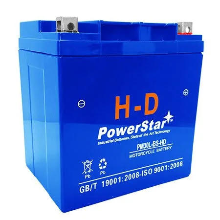 Tpwm732gh - Twin Power Battery Replacement 30l-bs-hd, Blue