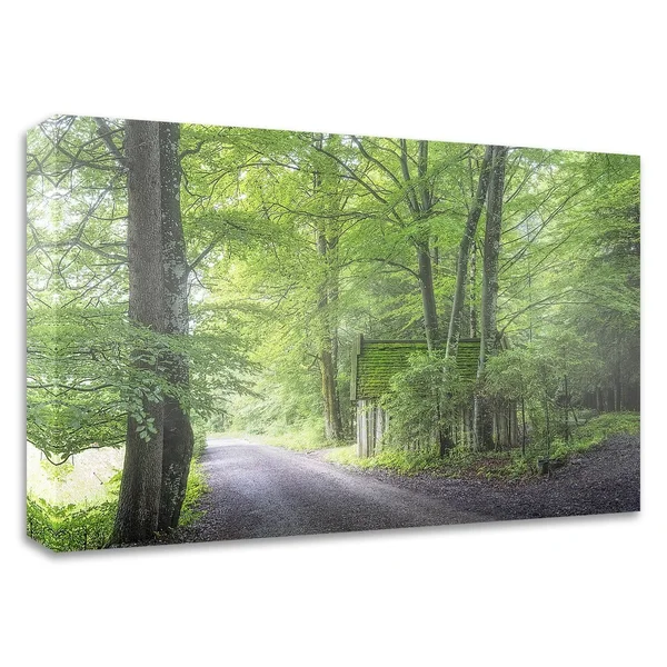 24x22 x 36x22 Frenzy Green by Anne Schneidersmann Print on Canvas