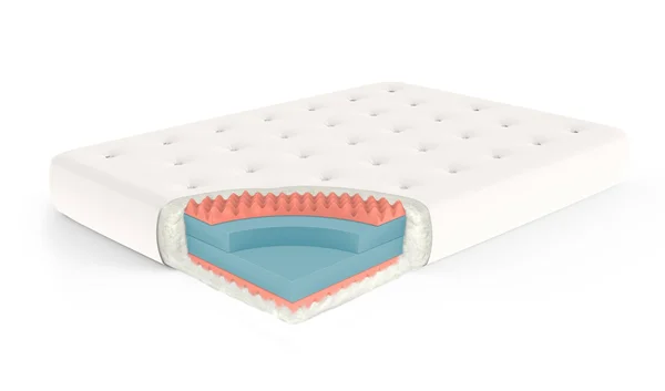 Moonlight 9 inch Futon Mattress by Gold Bond