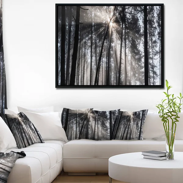 Designart Sunbeams Through Black White Forest- Forest Framed Canvas Wall Art Print in Gold - FL9987-46-36-GD