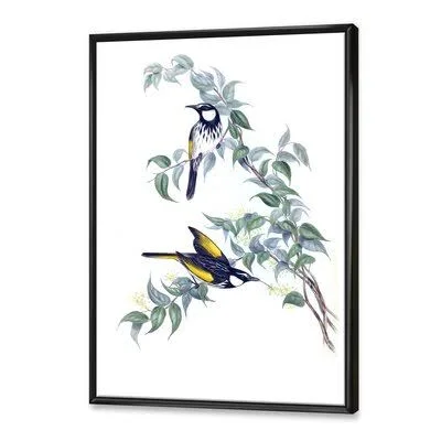 Vintage Australian Birds on A Branch - Painting on Canvas East Urban Home Format: Black Floater Frame - Size: 32x22 H x 24x22 W x