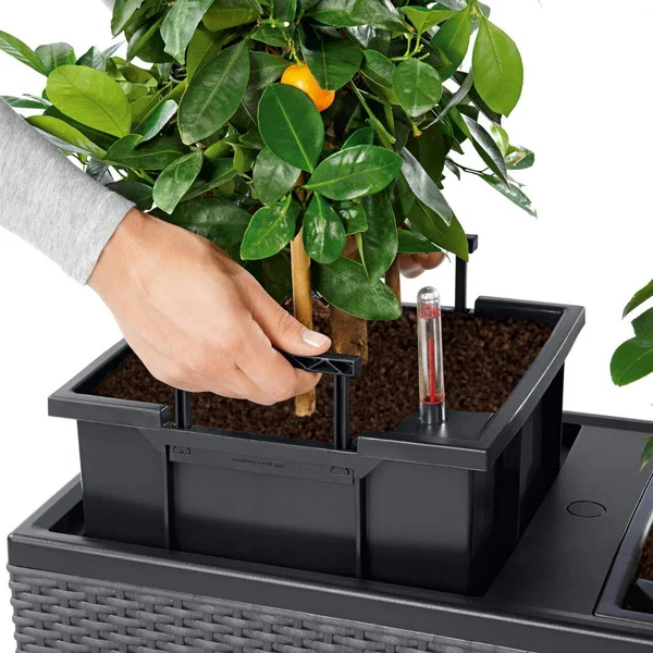 Rectangle Lechuza Trio Cottage 30 Self-Watering Resin Planter