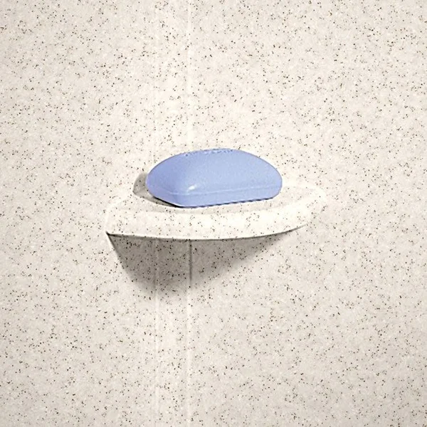 Swanstone Almond Glaxy Composite Soap Dish Es20000.046