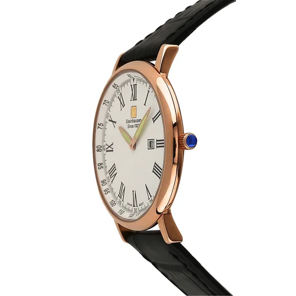 Steinhausen Classic Men's S0119 Altdorf Swiss Quartz Rose Gold Black Leather Band Watch