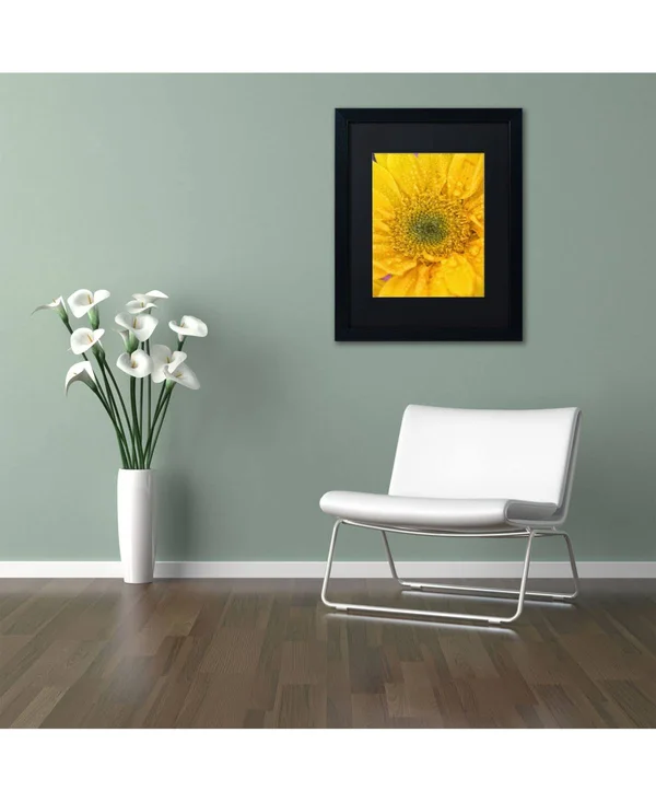Trademark Fine Art Joyful Color Framed Photographic Print - Size: 14x22 H x 11x22 W x 0.5x22 D, Matte Color: Black