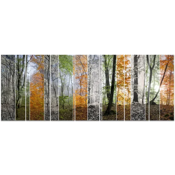 Design Art &Wood Panorama Changing Seasons& 6 Piece Photographic Print Set on Canvas, Orange