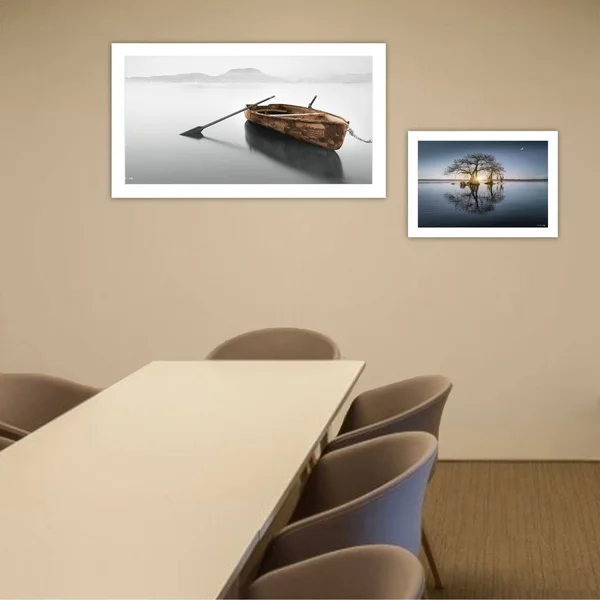 Tree Reflections by Moises Levy - Ready to Hang Framed Print, White Frame