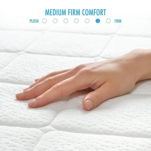 Rio Home Fashions Loftworks Twin Size Plush Top Medium Firm 10 inch Gel Memory Foam Mattress - Quilted Top Twin