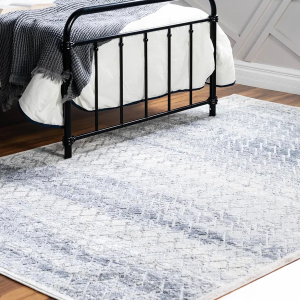 Caspian Gray Vintage 4x6 Area Rug