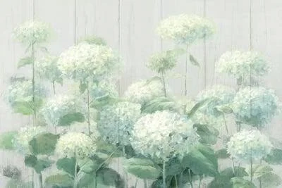 Framed Poster Prints - White Hydrangea Garden Sage on Wood by Danhui Nai ( Floral & Botanical > Flowers > Hydrangeas