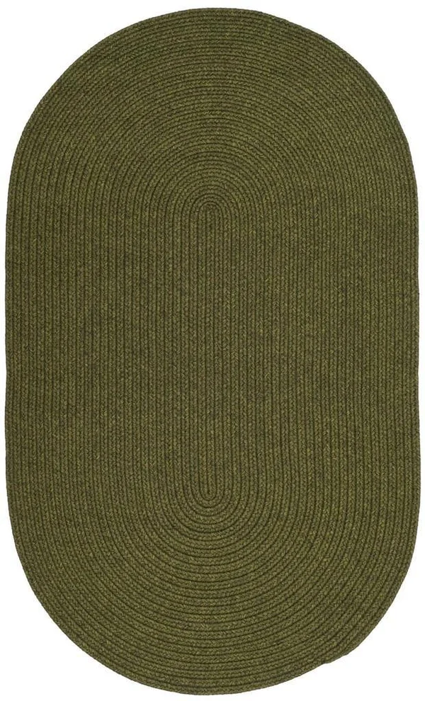Safavieh Braided Green Area Rug; Oval 3& x 5&
