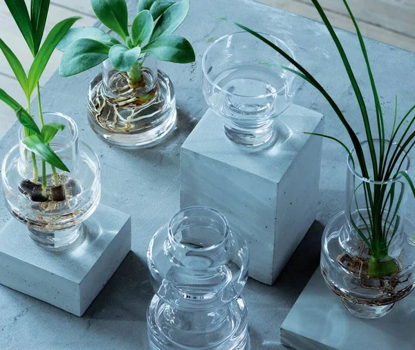 LSA Metropole Set of 5 Glass Vases
