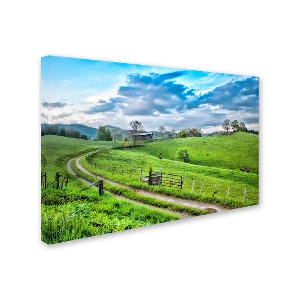 Trademark Fine Art Ali15898-C1219Gg Bob Rouse 'Winding Road' Canvas AR