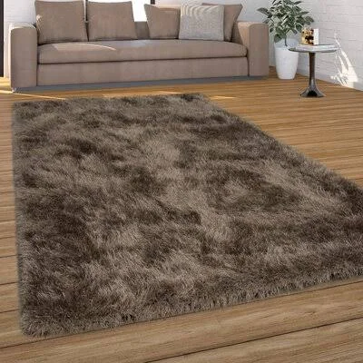 Traci Shag Brown Area Rug Mercer41 Rug Size: Rectangle 3&11x22 x 5&7x22
