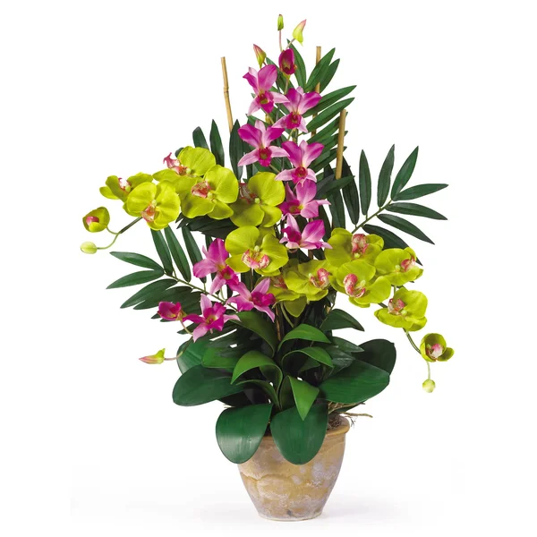 Nearly Natural Double Phal/Dendrobium Silk Flower Arrangement