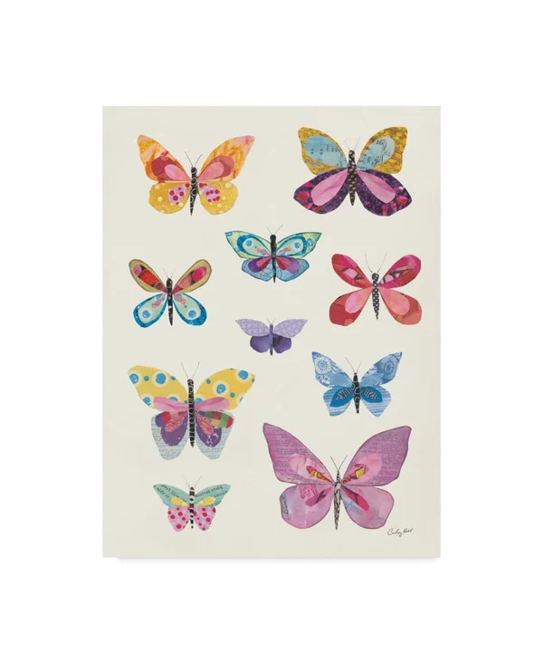 Trademark Fine Art Courtney Prahl Butterfly Charts II 35x47 Canvas Art - WAP09860-C3547GG
