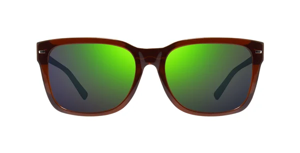 Revo Taylor RE1104 Sunglasses in Black