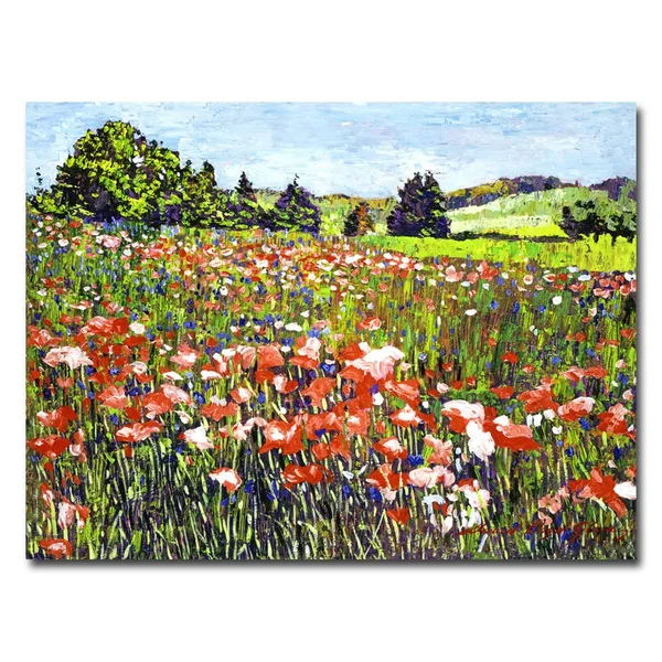 Trademark Art Poppy Fields of France Canvas Wall Art by David Lloyd Glover - Size: 24 x 32
