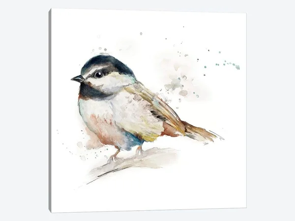 Patricia Pinto Canvas Art Prints - Watercolor Mountain Bird II ( Animal Art > Birds art)