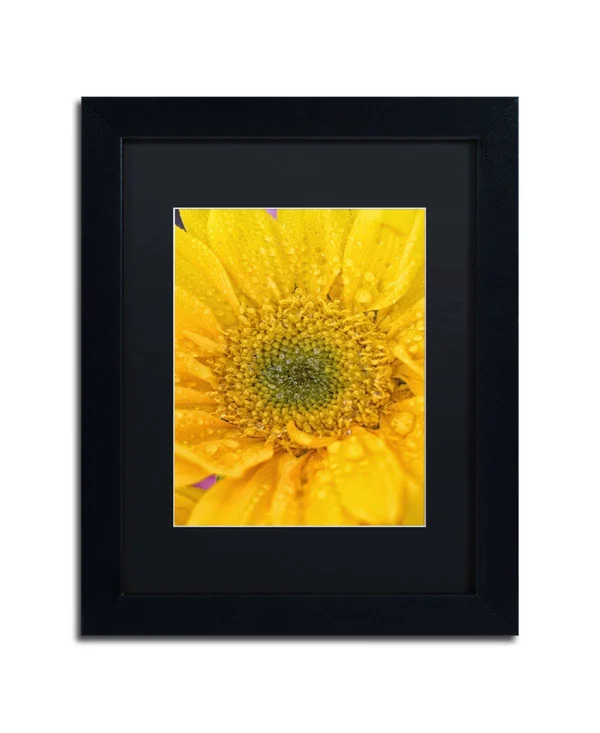 Trademark Fine Art Joyful Color Framed Photographic Print - Size: 14x22 H x 11x22 W x 0.5x22 D, Matte Color: Black