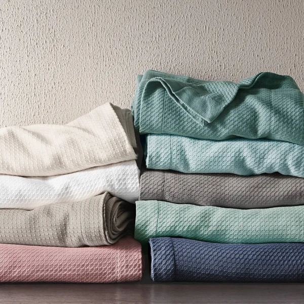 Madison Park Egyptian Cotton Blanket - Blue - Twin