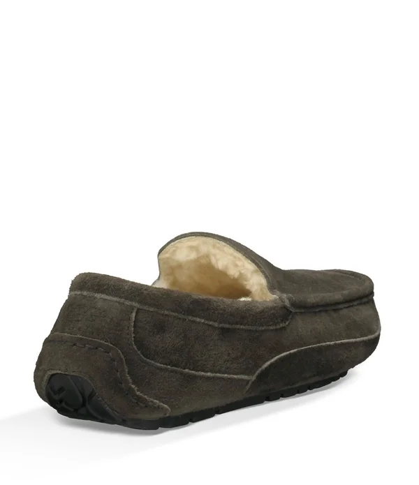 Ugg Men's Ascot