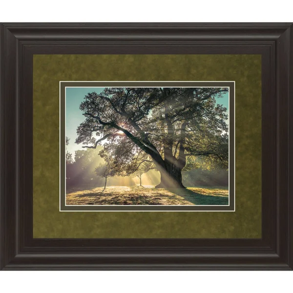 Green, Blue, and Yellow Breaking Through Framed Print Wall Art 40x22 x 34x22