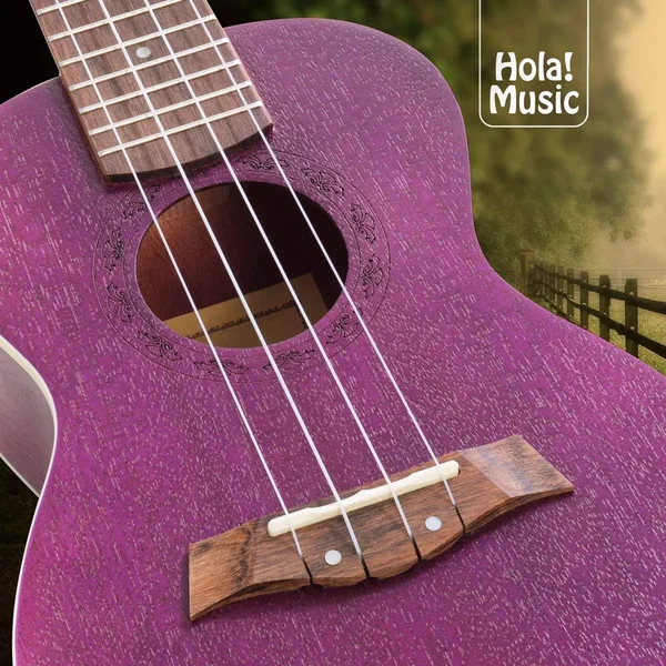 Concert Ukulele Bundle, Deluxe Series by Hola! Music (Model Hm-124pp+), Bundle Includes: 24 inch Mahogany Ukulele with Aquila Ny