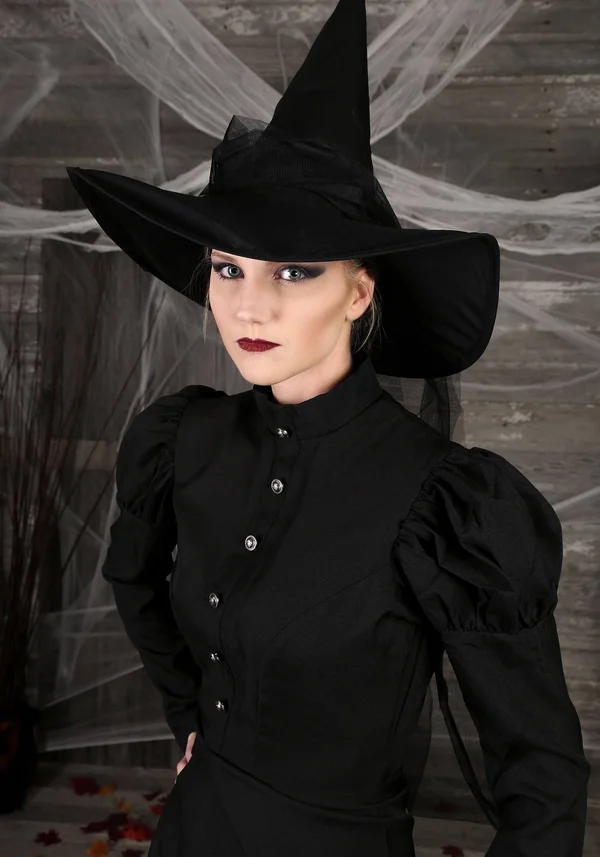 FUN Costumes Women's Plus Size Witch Costume, Black, 2X