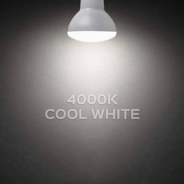 Luxrite BR20 LED Bulb 6.5W\x3d45W Dimmable 460lm R20 LED Flood Light Bulb Damp Rated UL Listed E26 Base (12 Pack) 6500K (Dayligh