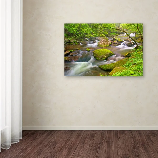 Trademark Art Bob Rouse 'Little River Rapids' Gallery-Wrapped Canvas Art