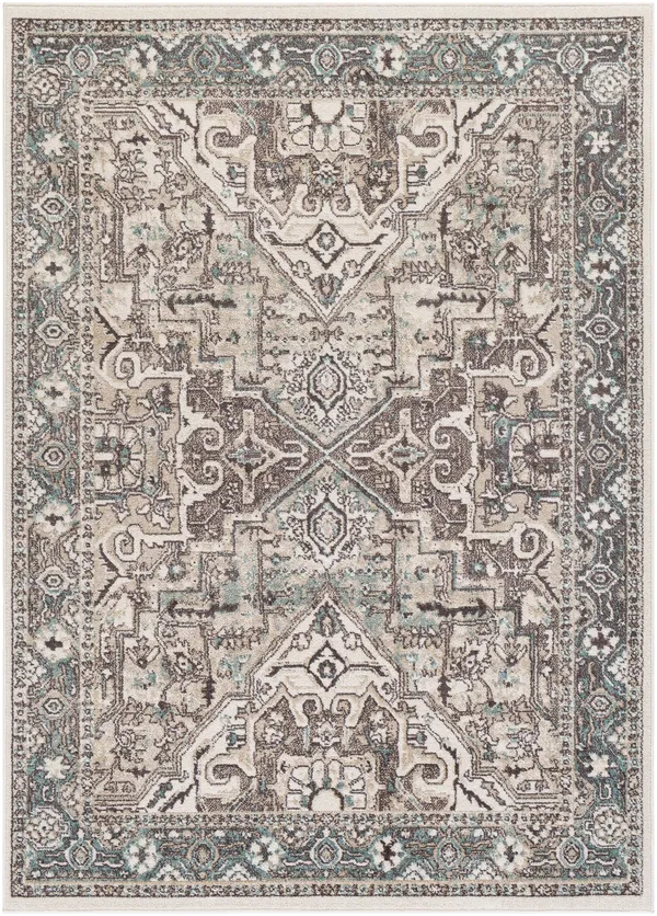 Surya Ankara AKR-2327 Area Rug - 7 ft 10 in x 10 ft 3 in