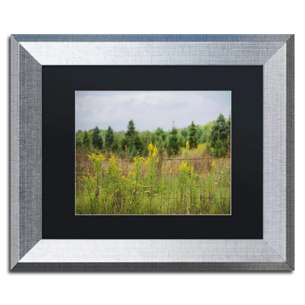Trademark Fine Art Goldenrod Fence by Kurt Shaffer Framed Photographic Print - Size: 11x22 H x 14x22 W x 0.5x22 D