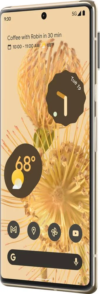 Google Pixel 6 Pro 128 GB in Sorta Sunny with installment