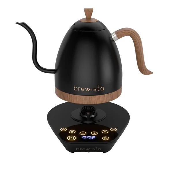 Artisan Electric Gooseneck Kettle All Black