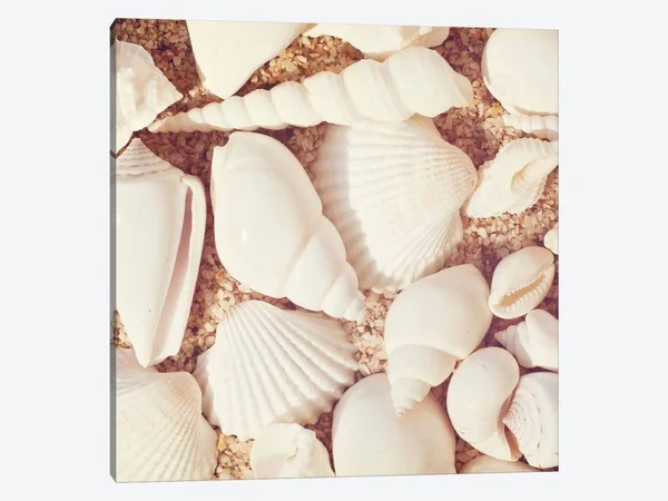 iCanvas - Beachcomber by Carolyn Cochrane Canvas Print - ICS113-1PC3-37x37