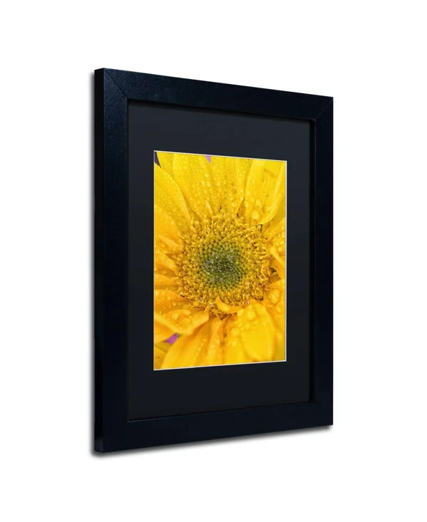 Trademark Fine Art Joyful Color Framed Photographic Print - Size: 14x22 H x 11x22 W x 0.5x22 D, Matte Color: Black