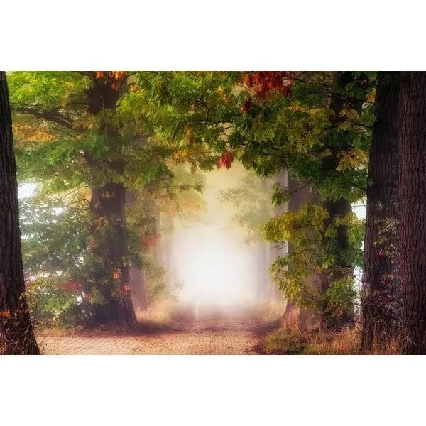 Easy Art Prints Lars Van De Goor's 'Fall Colors' Premium Canvas Art - 20 x 30 - Classic Black Frame