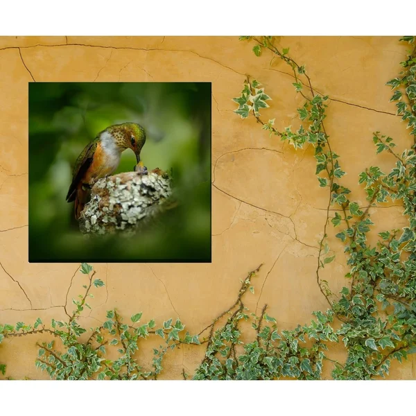 Hummingbird Nest Indoor/Outdoor Art - Multi-Color - 24 x 24