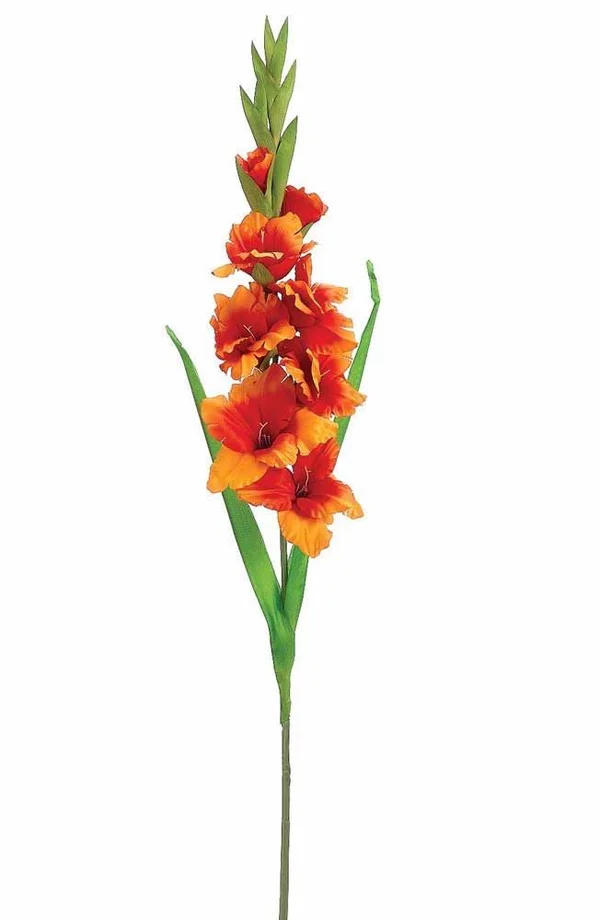 36.6x22 Gladiolus Spray Orange 12 Pieces FSD624-OR