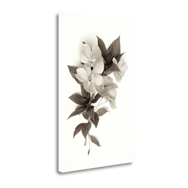 32x22 x 21x22 Garden Bloom - 4 by Alan Blaustein Fine Art Giclee Print
