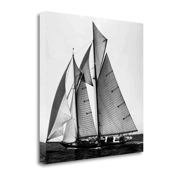 Tangletown Fine Art Adrift II by Jorge Llovet - Gallery Wrap Canvas