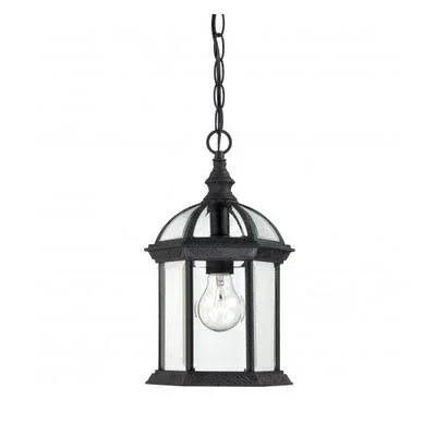 Statler 1-Light Outdoor Hanging Lantern Bulb Type: A19 - Color, Glass Type: Textured Black, Clear Beveled